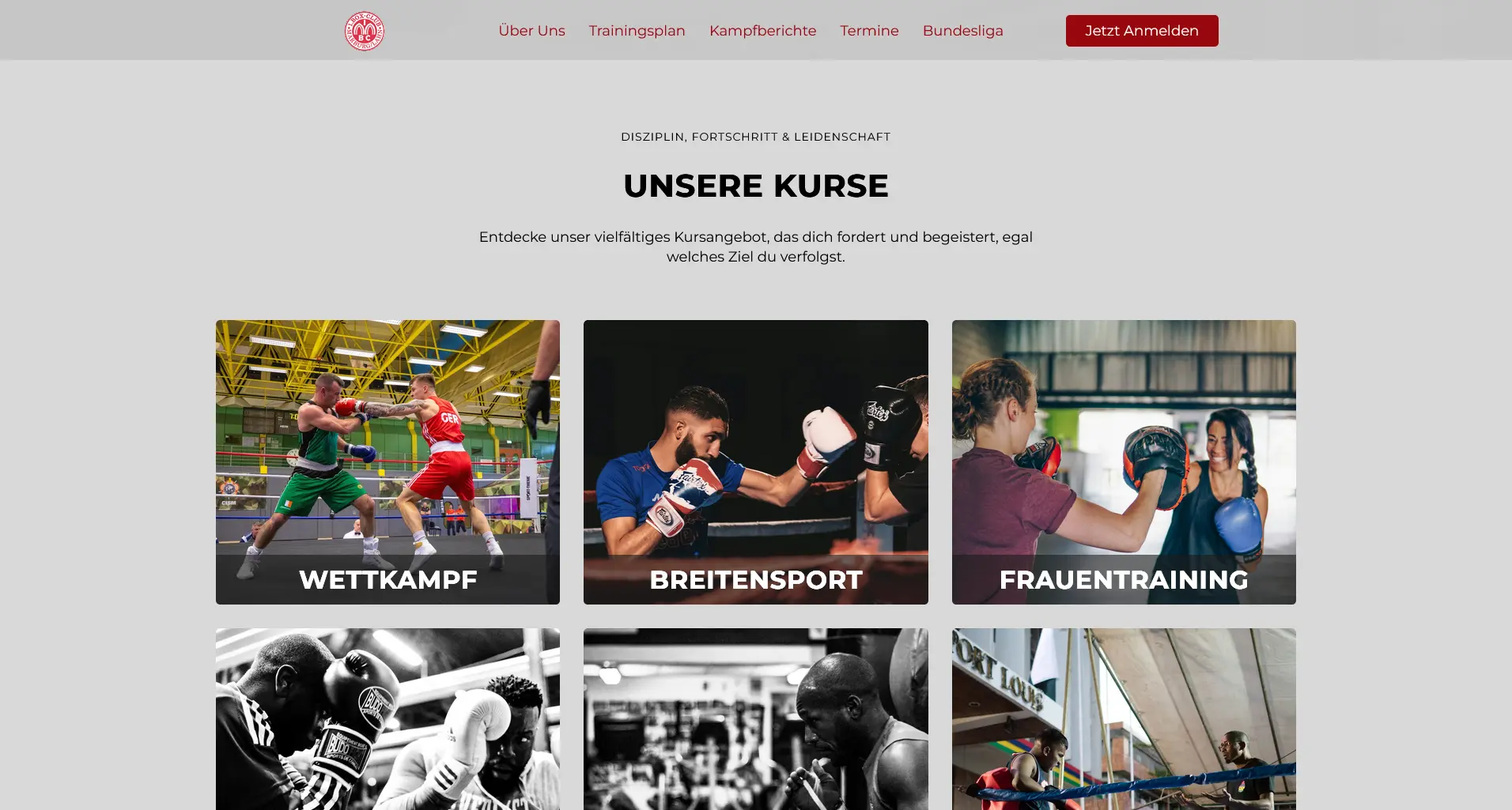 Boxclub marburg (5)