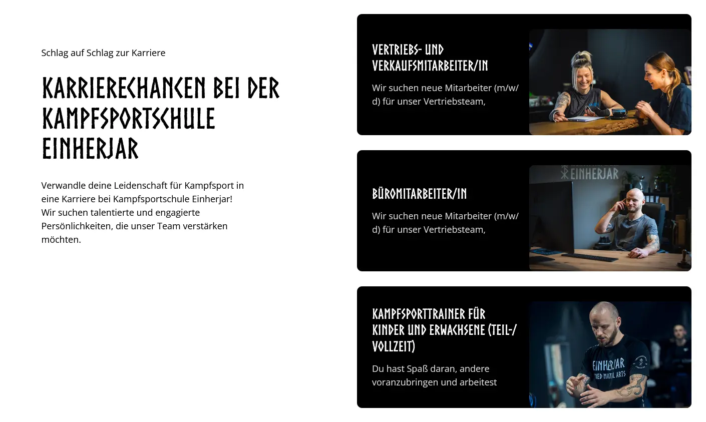 Kampfsportschule einherjar (1)