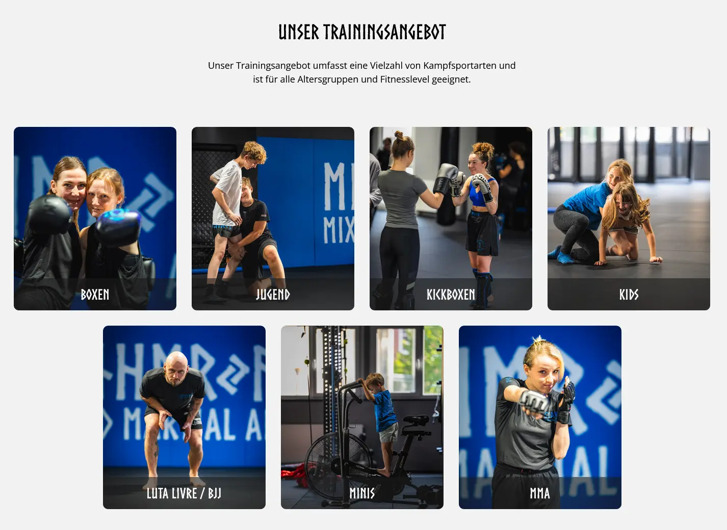Kampfsportschule einherjar (4)